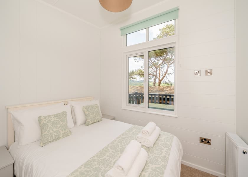 Ammonite - Newlands Holiday Park, Charmouth