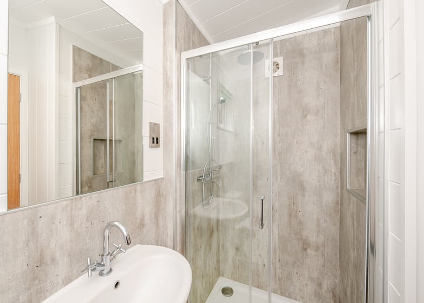 Ammonite - Newlands Holiday Park, Charmouth