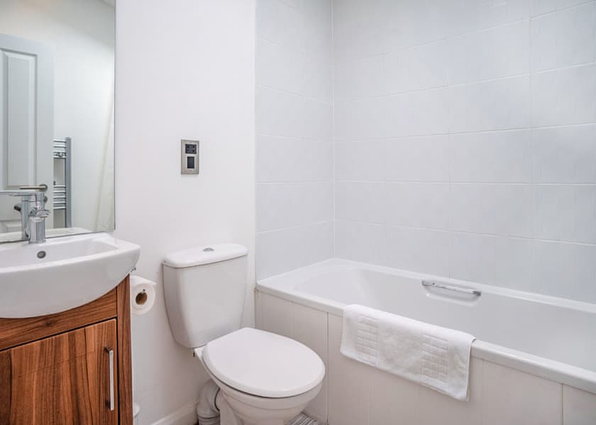 Bronze Spa Pet - Alder Country Park, North Walsham