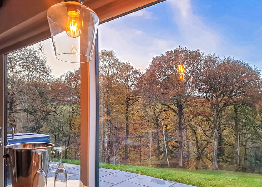 Nant-y-Coed Lodges, Mochdre, Newtown