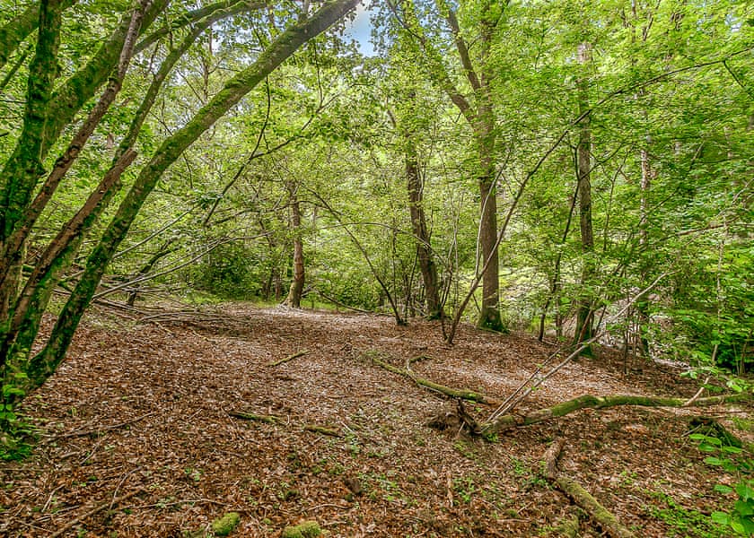 Nant-y-Coed Lodges, Mochdre, Newtown