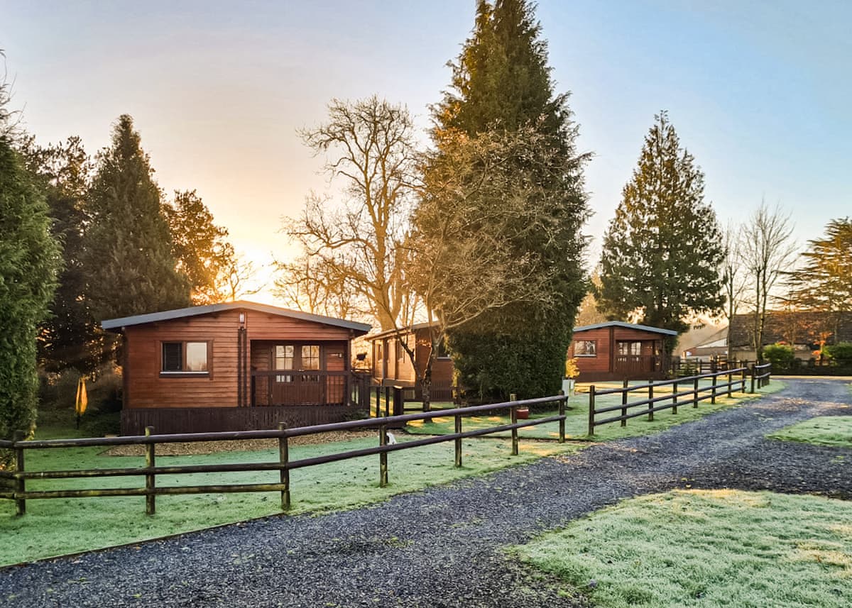 Oathill Farm Lodges - Holiday lodge in South West England - Image 3