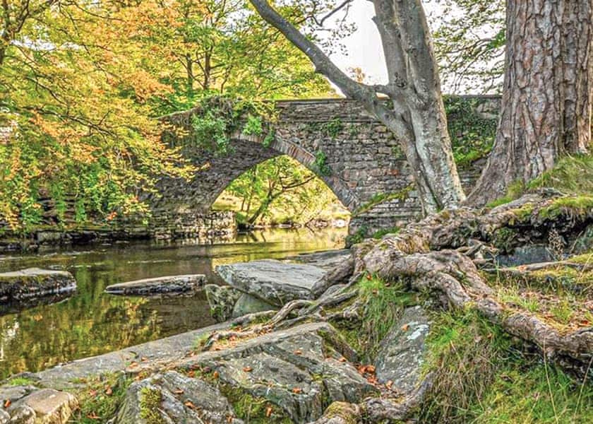 The park setting | Ogwen Bank Caravan & Lodge Park, Snowdonia