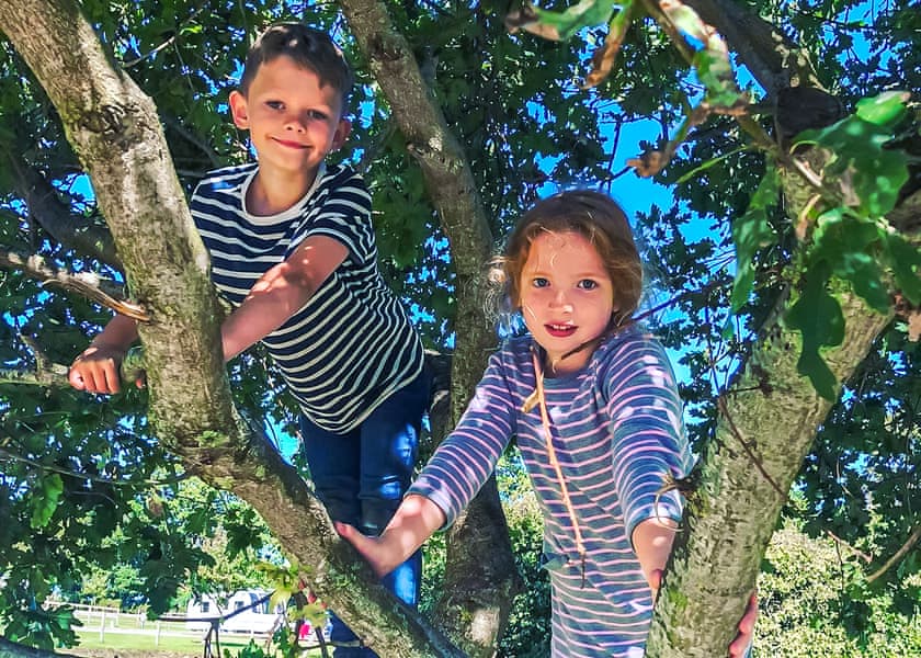 Orchards Holiday Park, Newbridge, Nr Yarmouth