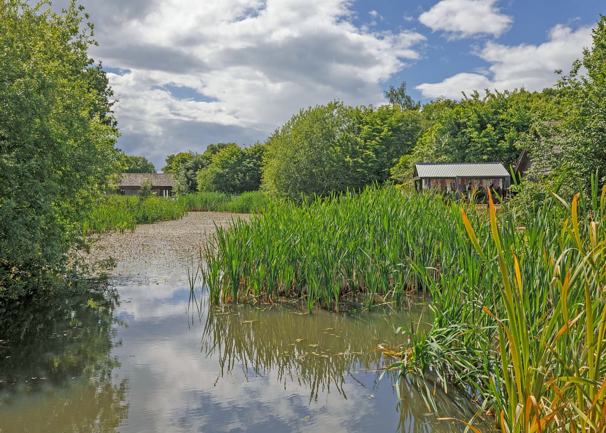 Oakwood Lodges - Holiday lodge in Yorkshire - Image 2