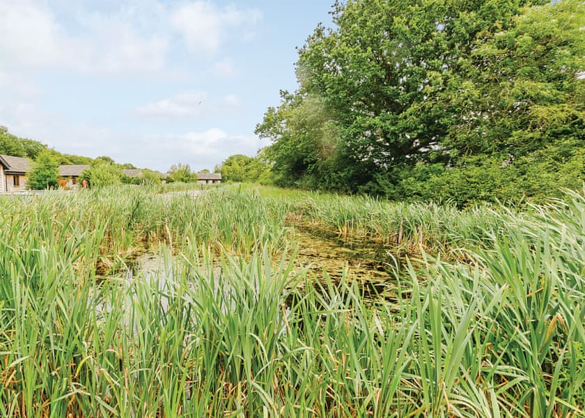 Rosewood Lodge - Oakwood Lodges, South Duffield, Nr York