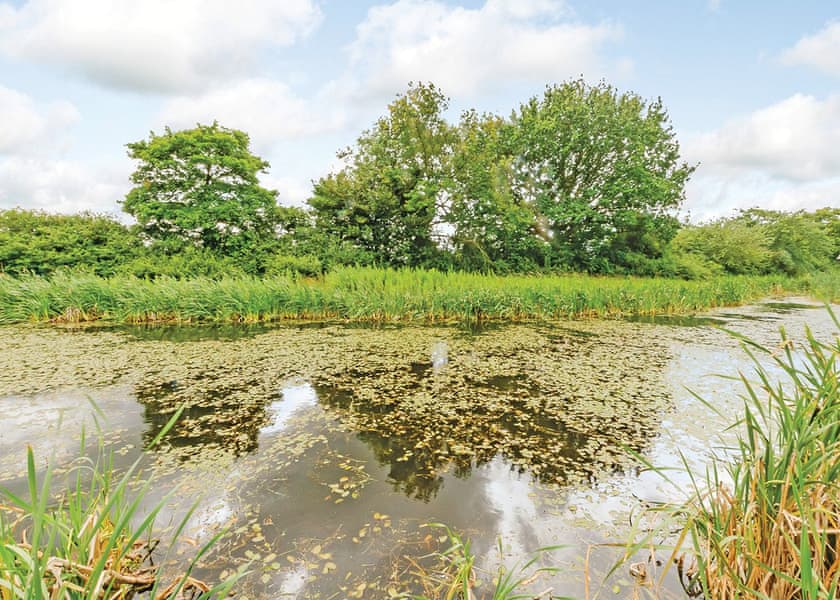 Cherry Tree Lodge - Oakwood Lodges, South Duffield, Nr York