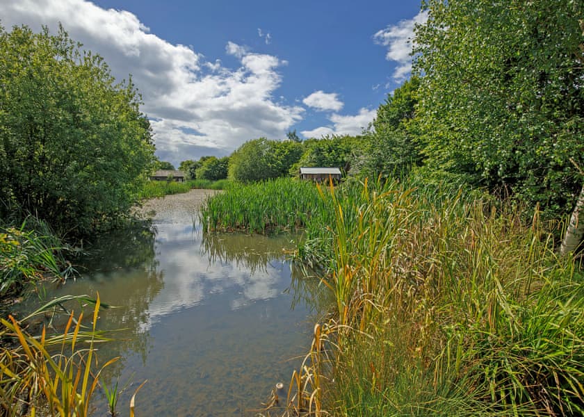 Mulberry Lodge - Oakwood Lodges, South Duffield, Nr York