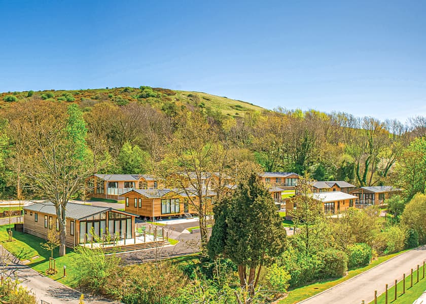 The park setting<br />