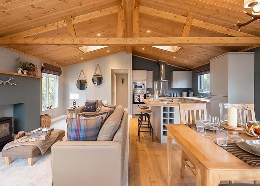 Kingfisher 01 - Osmington Mills Lodge Park, Weymouth