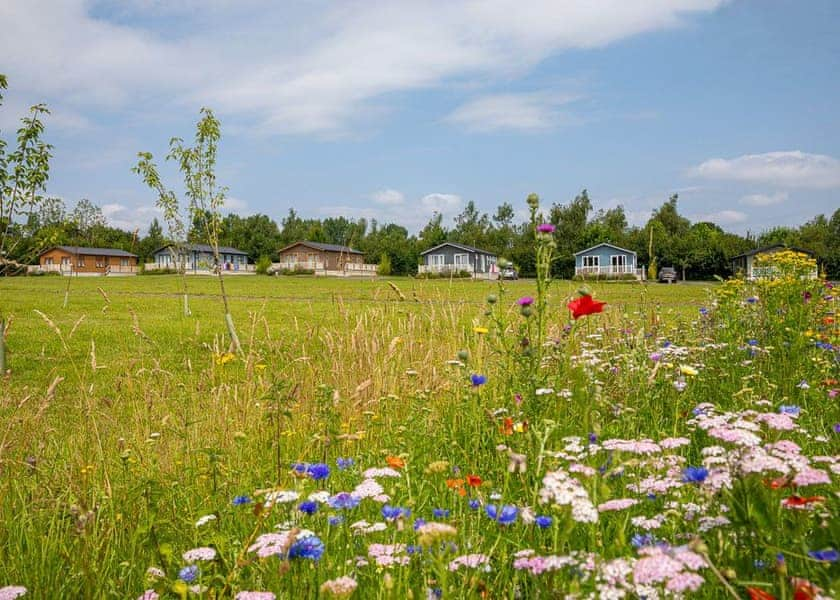 Otters Mead Boutique Lodges, Beetley, Dereham