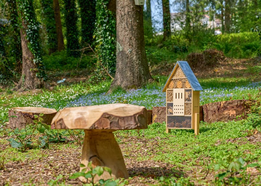 Cornish Meadows Holiday Park, Hayle