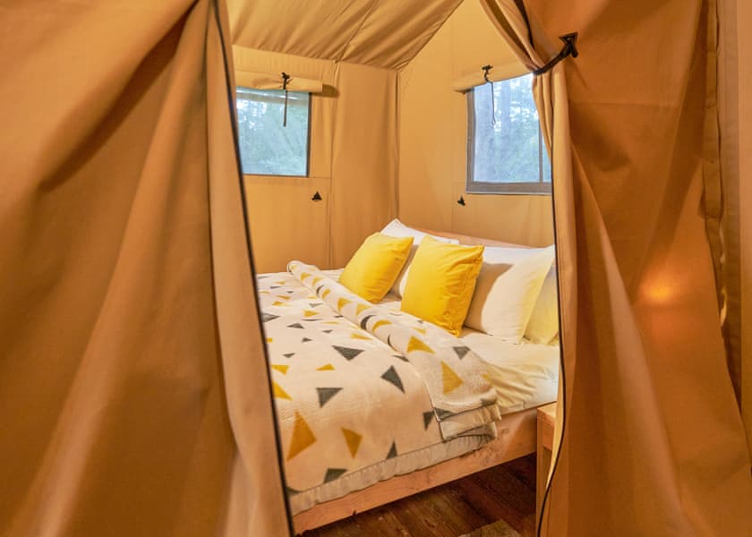 Safari Tent Pet - Cornish Meadows Holiday Park, Hayle