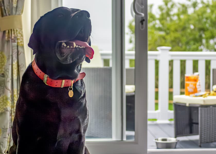 Luxury 3 bed HT Pet - Cornish Meadows Holiday Park, Hayle