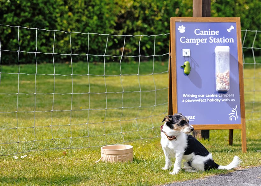 Padstow Holiday Village, Padstow