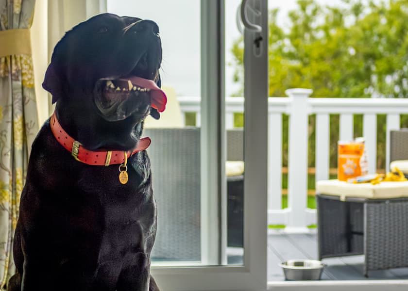 Exclusive 3 Bed HT Pet - Padstow Holiday Village, Padstow