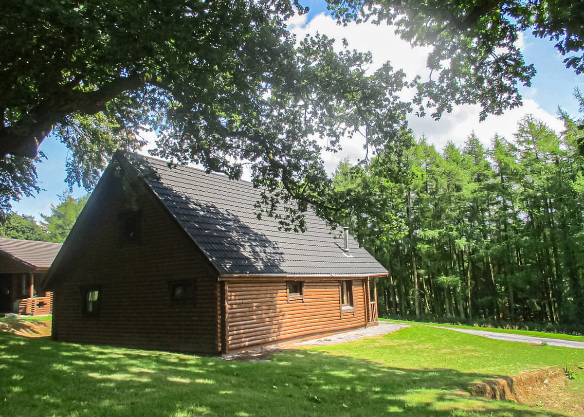 Pantglas Hall Lodges - Holiday lodge in South Wales - Image 4