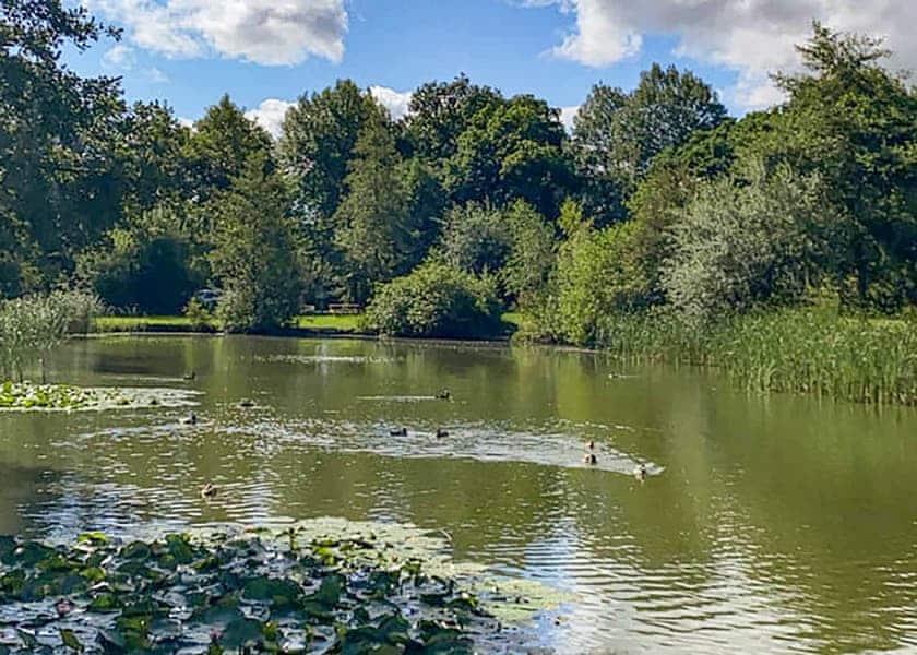 Paradise Lakeview - Paradise Lakeside Lodges, Storwood, York
