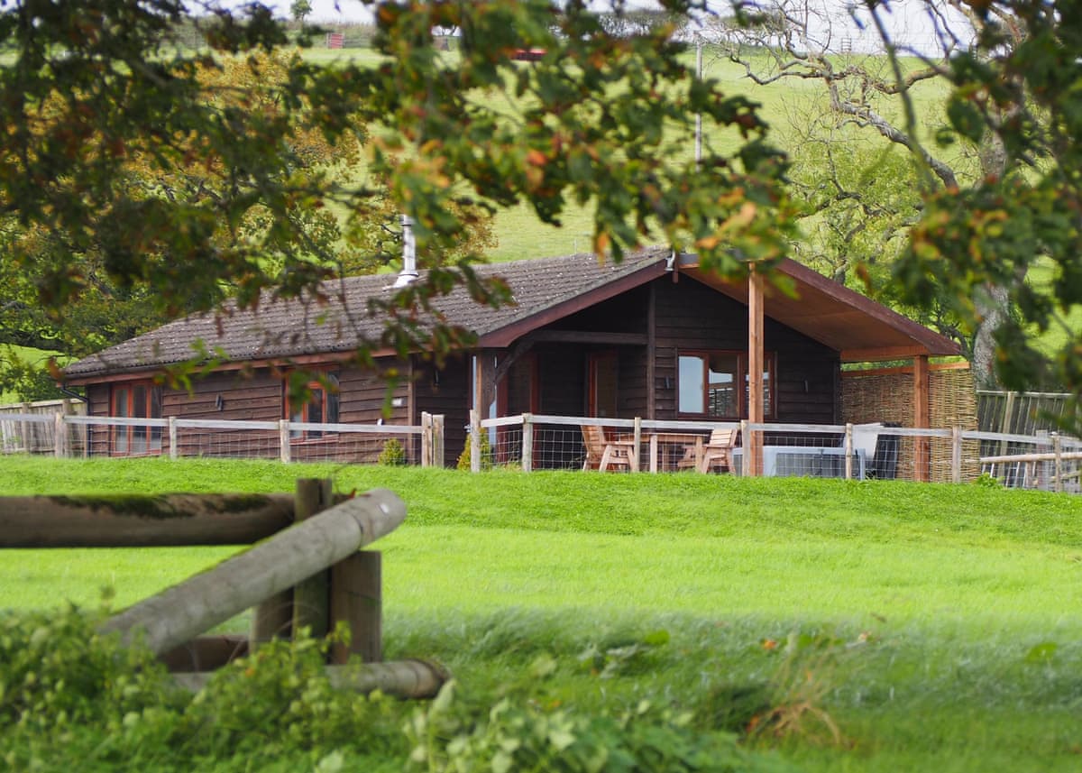 Peckmoor Farm Lodges - Holiday lodge in South West England - Image 3