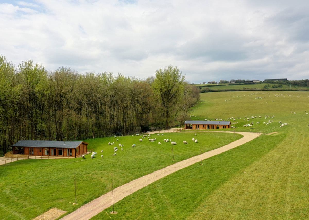 Peckmoor Farm Lodges - Holiday lodge in South West England - Image 4
