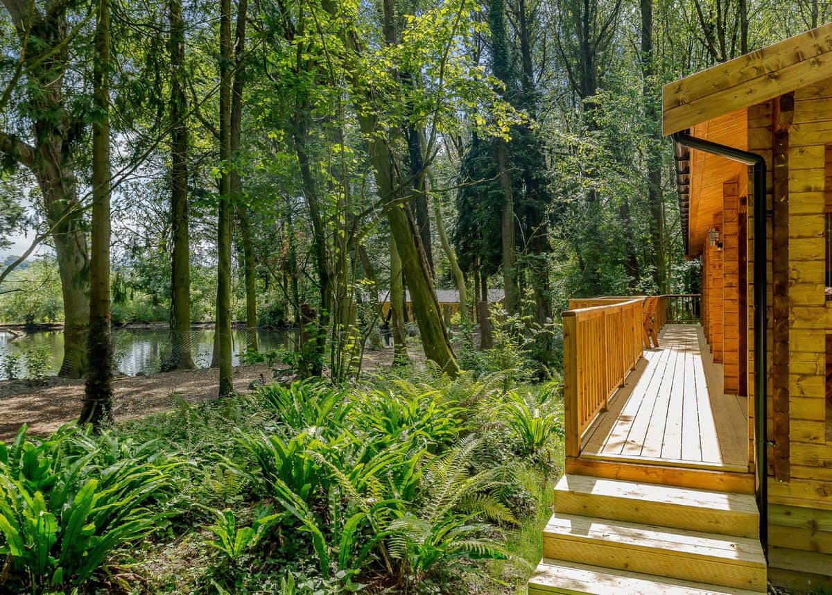 Peckmoor Farm Lodges - Holiday lodge in South West England - Image 2