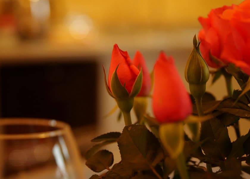 Quackers - Peckmoor Farm Lodges, Crewkerne