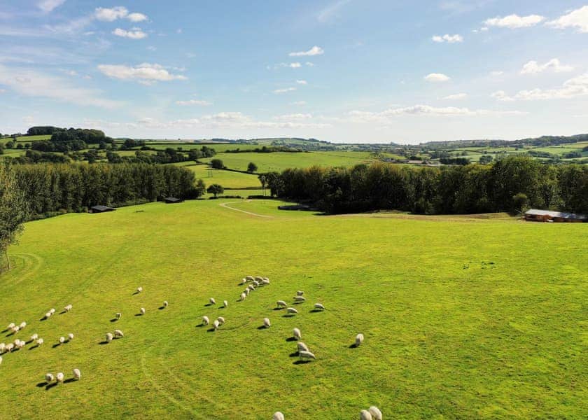 Pilsdon Perch - Peckmoor Farm Lodges, Crewkerne