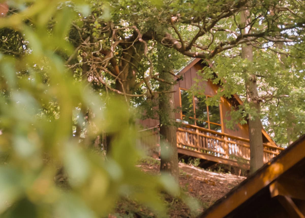 Penllwyn Lodges - Image 2