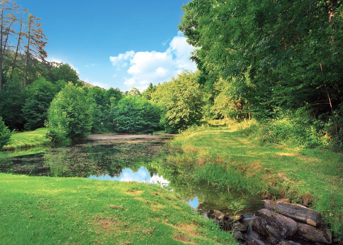 Penvale Lakes Lodges - Holiday lodge in North Wales - Image 5