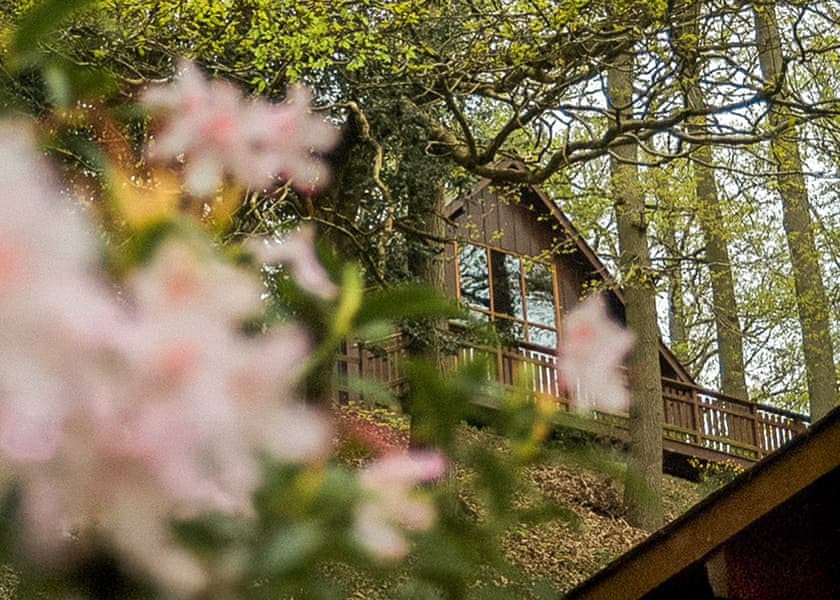 Penllwyn Lodges, Garthmyl, Montgomery