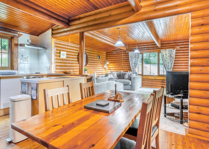 The Log Spa - Penllwyn Lodges, Garthmyl, Montgomery