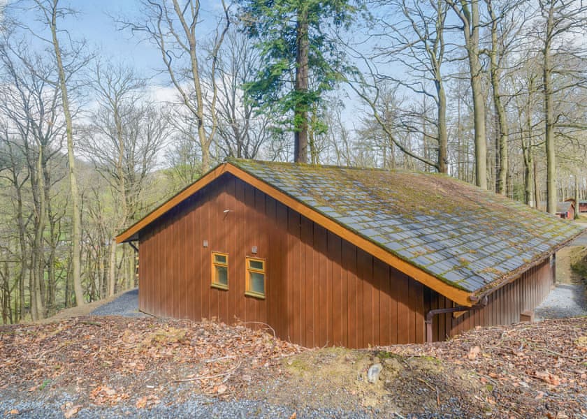 Foxglove - Penllwyn Lodges, Garthmyl, Montgomery