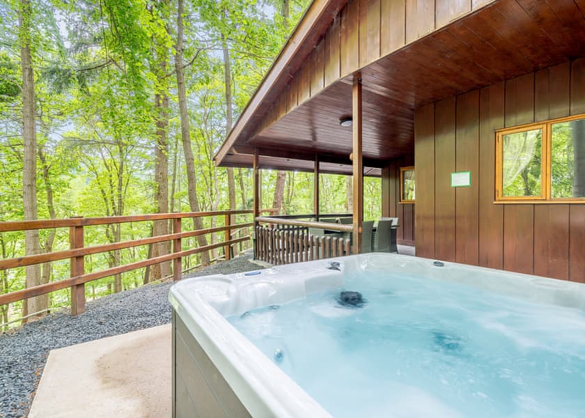 The Squirrels Drey - Penllwyn Lodges, Garthmyl, Montgomery