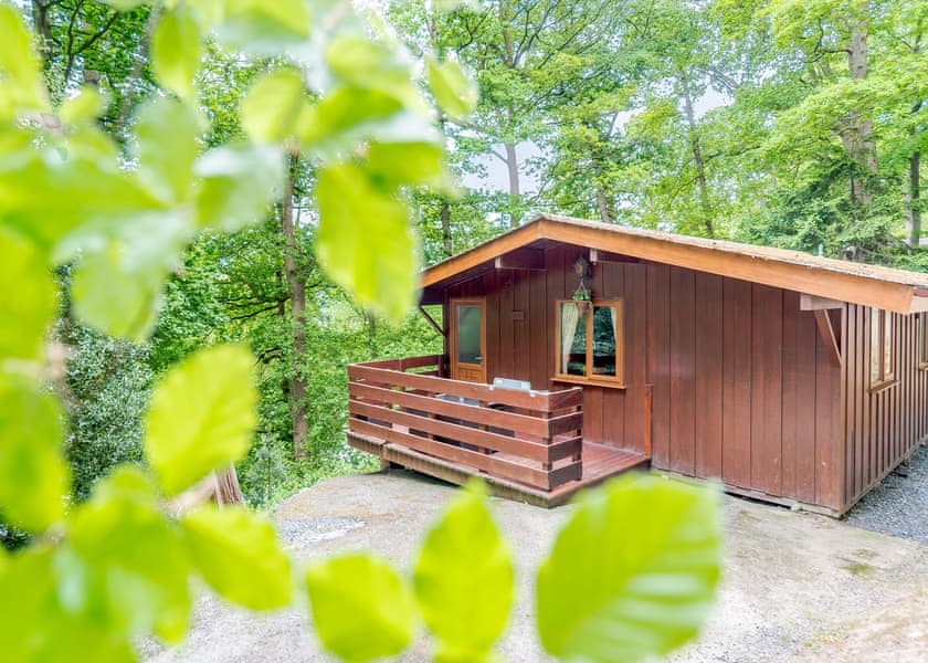 Toft Spa - Penllwyn Lodges, Garthmyl, Montgomery