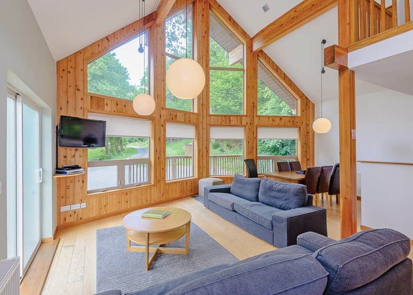 Saltspring Lodge Log Burner - Penvale Lakes Lodges, Llangollen