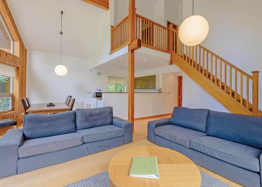 Saltspring Lodge Log Burner - Penvale Lakes Lodges, Llangollen