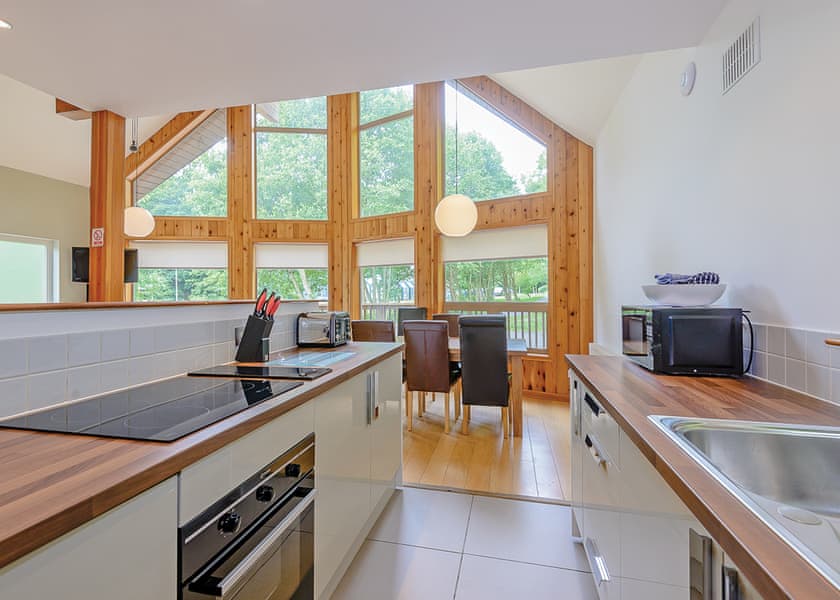 Saltspring Lodge Log Burner - Penvale Lakes Lodges, Llangollen