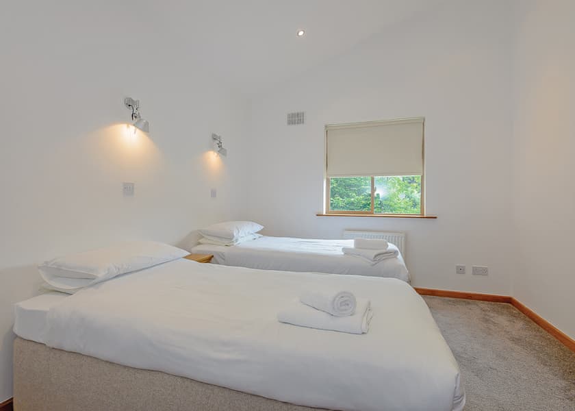 Saltspring Lodge Log Burner - Penvale Lakes Lodges, Llangollen