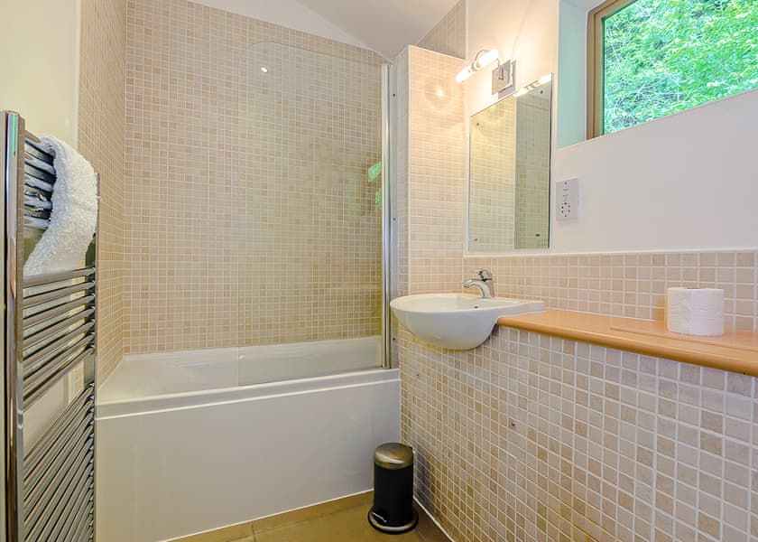 Saltspring Lodge Log Burner - Penvale Lakes Lodges, Llangollen
