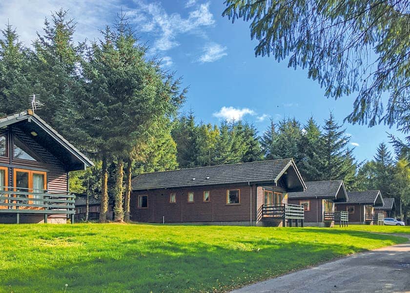 The park setting | Piperdam, Fowlis, Liff, Dundee