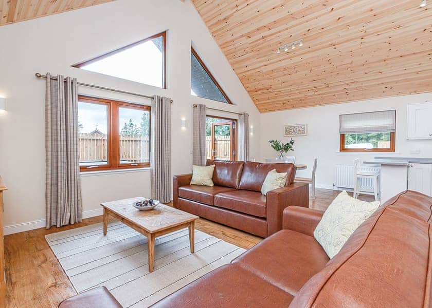 Galbraith Premier Spa (Pet) - Piperdam, Fowlis, Liff, Dundee