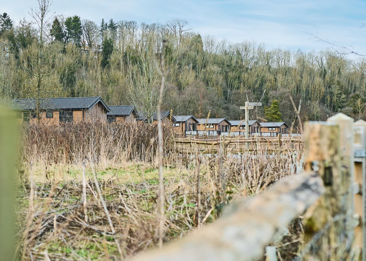 Plas Isaf Lodge Retreat - Holiday lodge in North Wales - Image 5