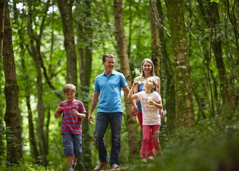 Primley Meadow, Paignton