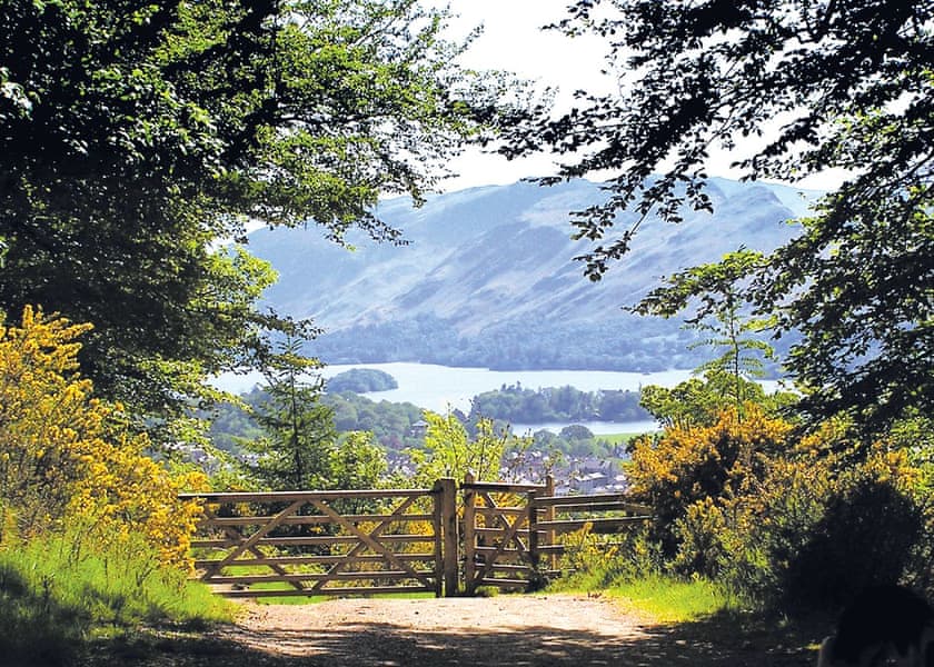 The lovely surroundings