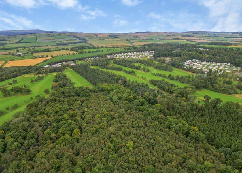 Percy Wood Country Park, Morpeth