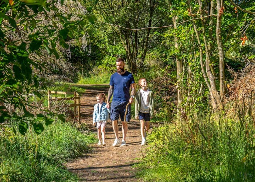Percy Wood Country Park, Morpeth