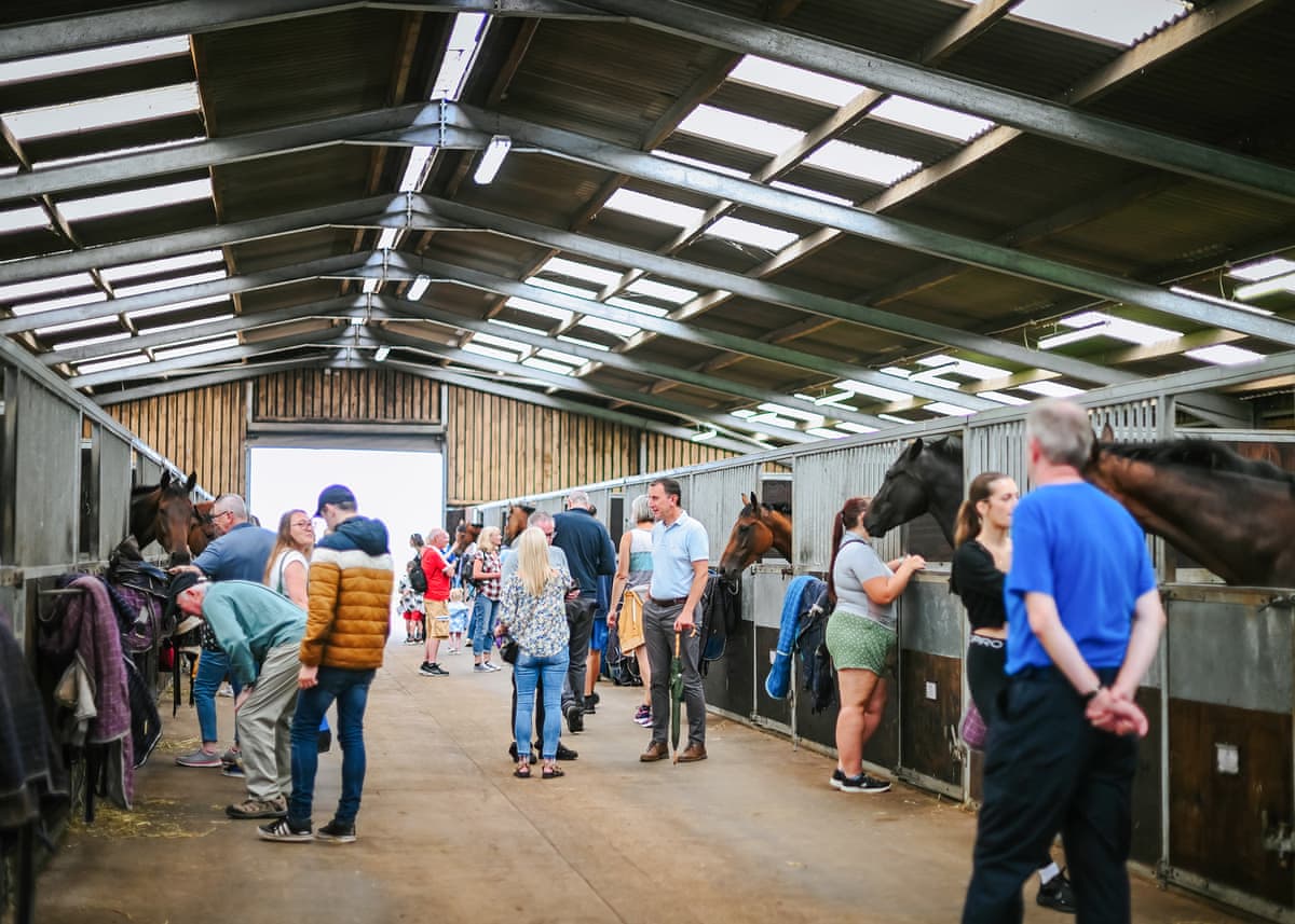 Pant Wilkin Lodges and Equestrian Centre - Holiday lodge in South Wales - Image 4
