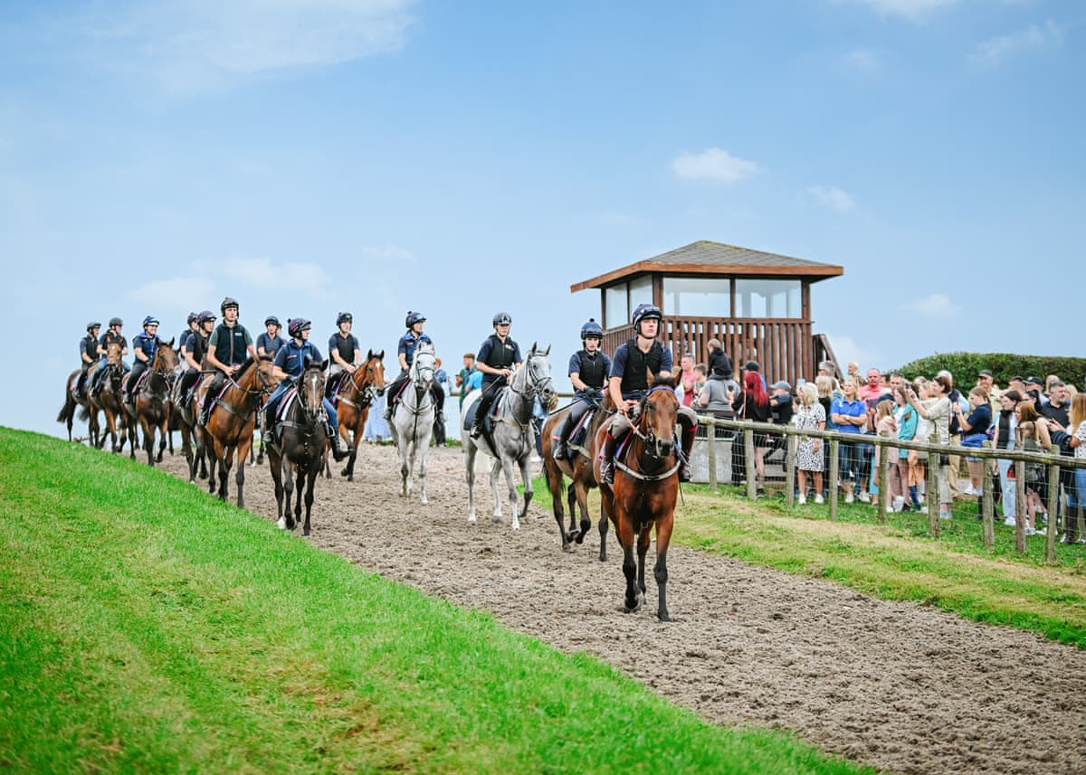 Pant Wilkin Lodges and Equestrian Centre - Holiday lodge in South Wales - Image 2