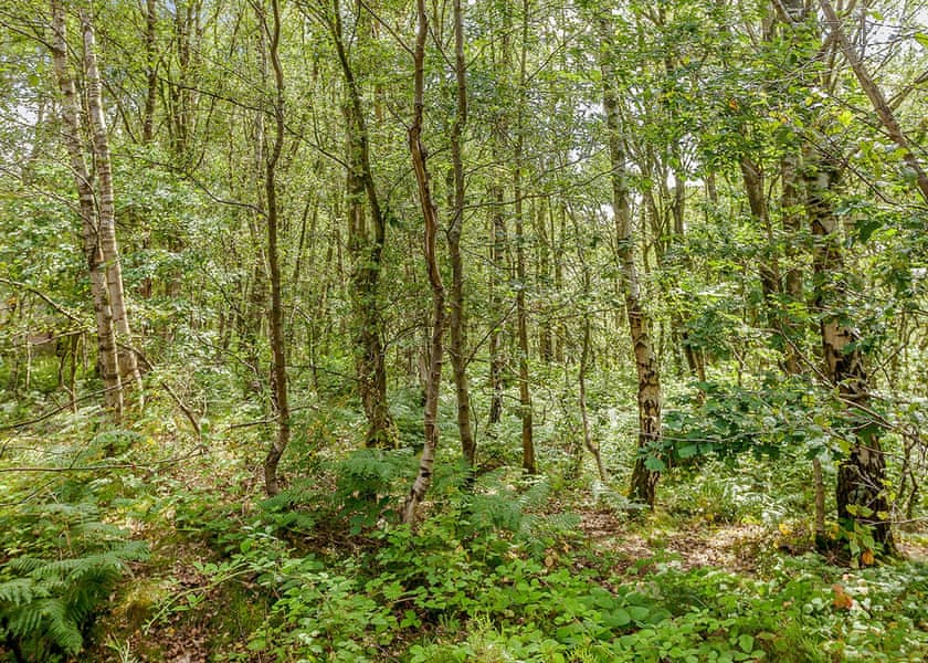 Quarry Walk Lodges, Freehay, Cheadle