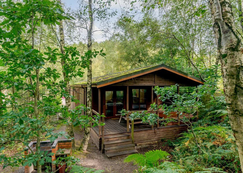 Fox Lodge 6 (Pet) - Quarry Walk Lodges, Freehay, Cheadle